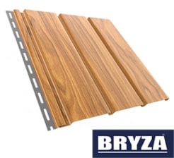 Bryza